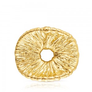 Colgantes TOUS vermeil Wicker Brooch Mujer Plateados | 4761WYGKO