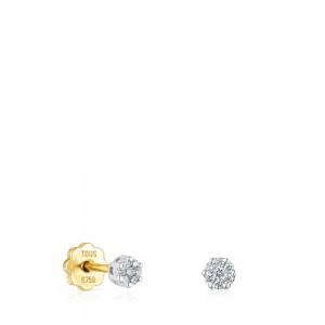 Pendientes TOUS Diamonds 0.08ct Mujer Dorados | 6850SBZJM