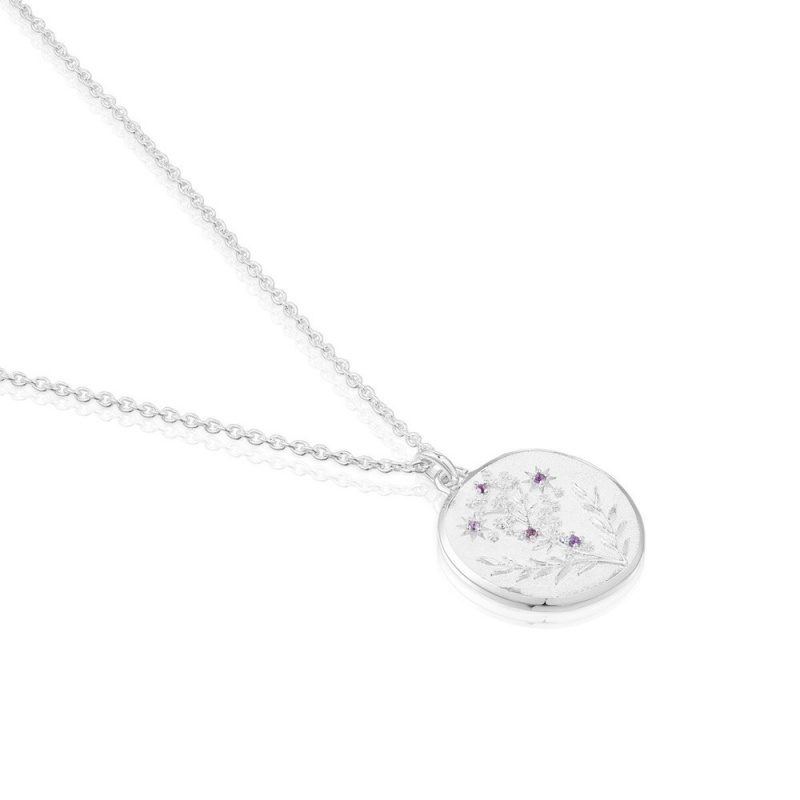 Collares TOUS Day necklace in amethysts Mujer Plateados | 7426XBMJV